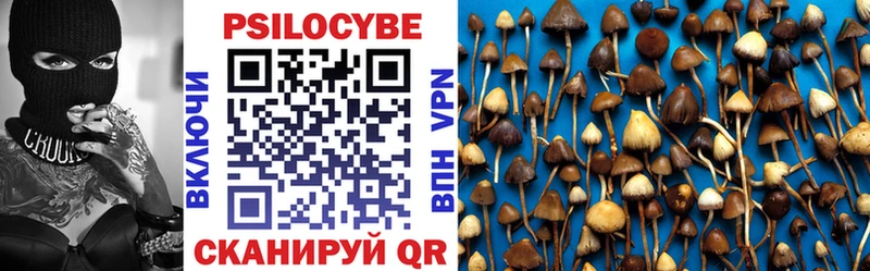 Псилоцибиновые грибы GOLDEN TEACHER Балашиха