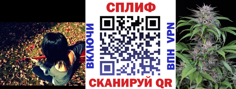 МАРИХУАНА SATIVA & INDICA  закладка  Балашиха 